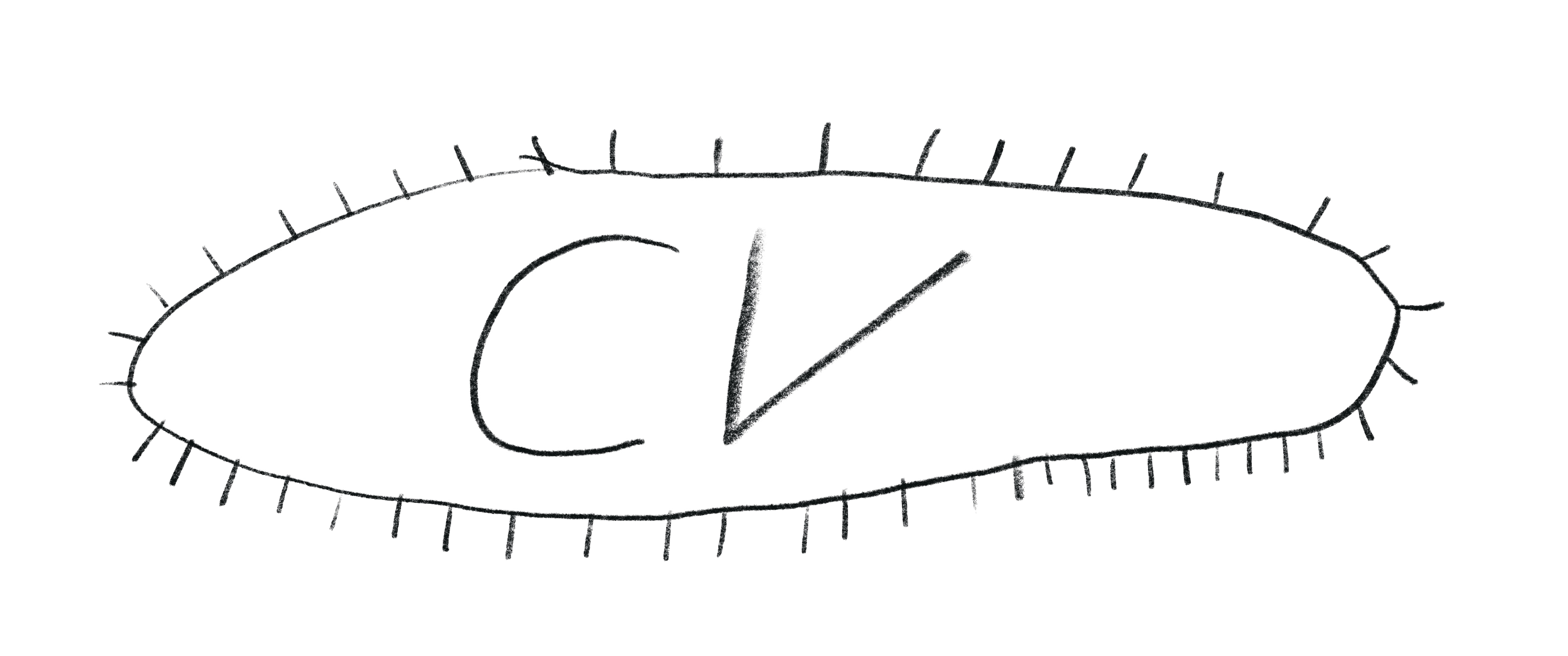 cv